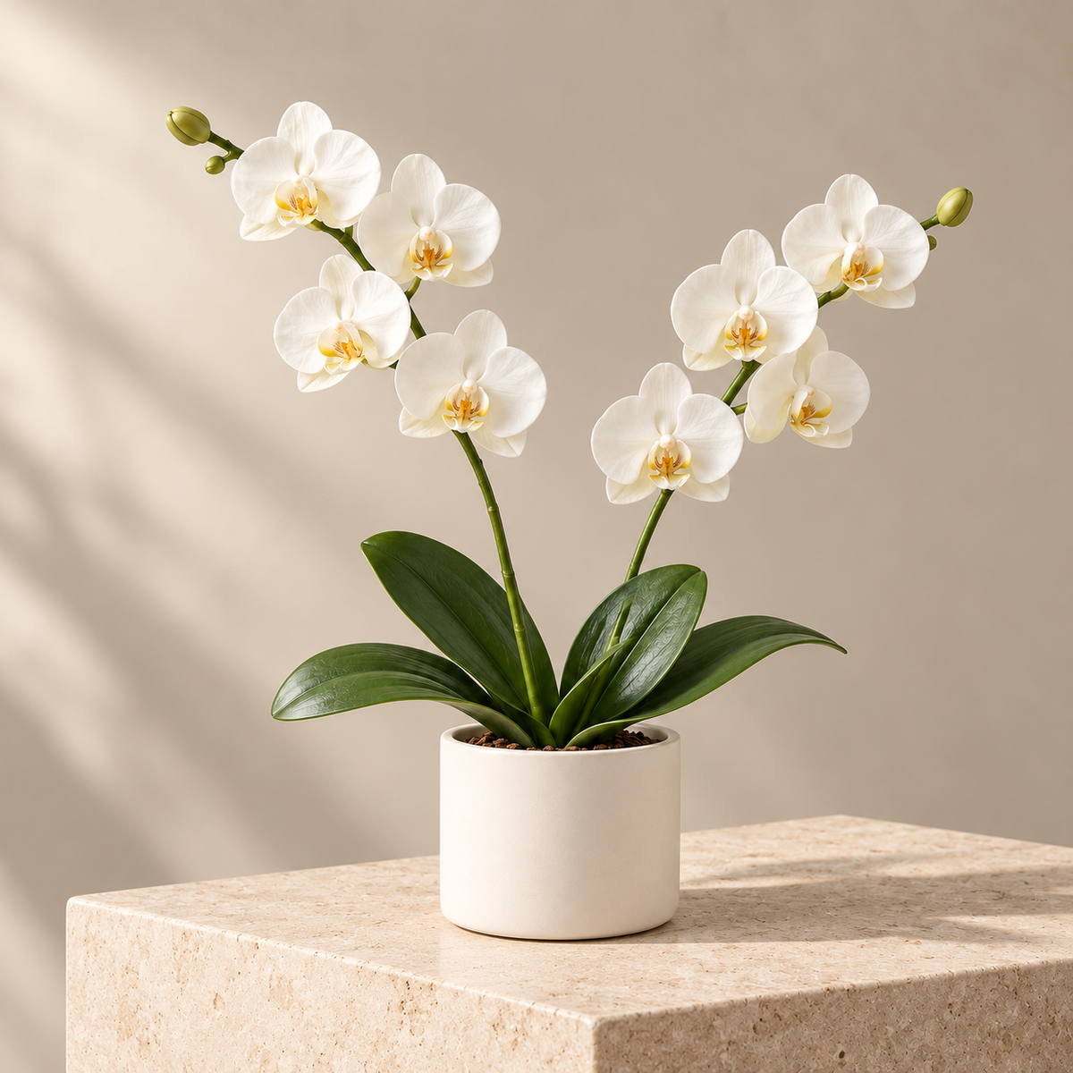 Floravyner White Artificial Orchid Arrangement in Pot