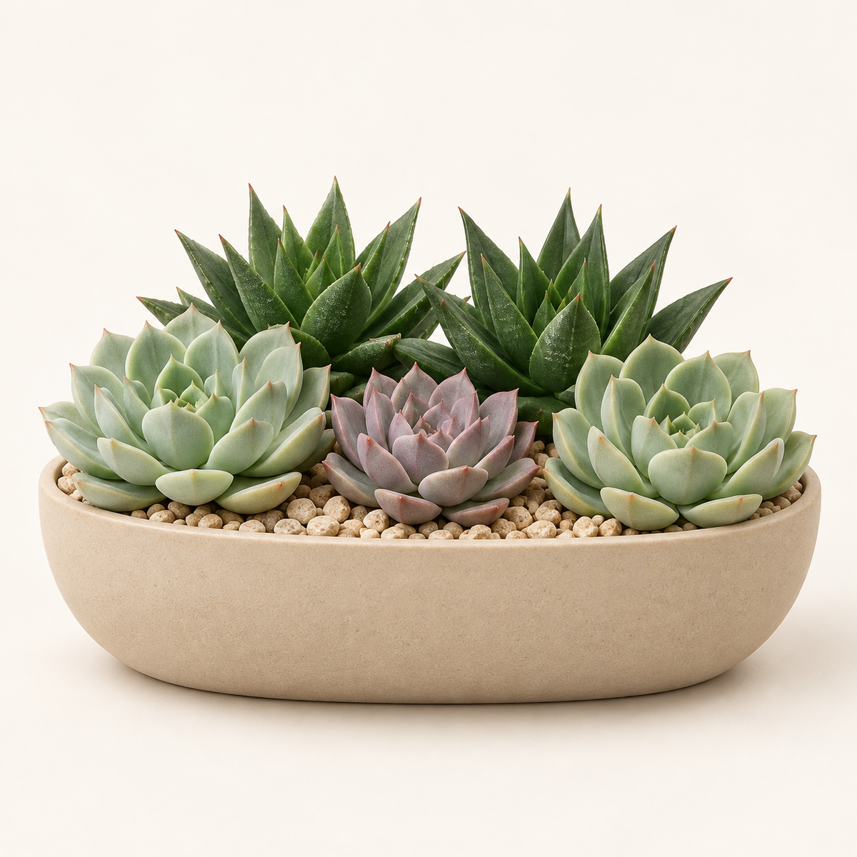Floravyner Artificial Mixed Succulent Arrangement in Beige Oval Planter