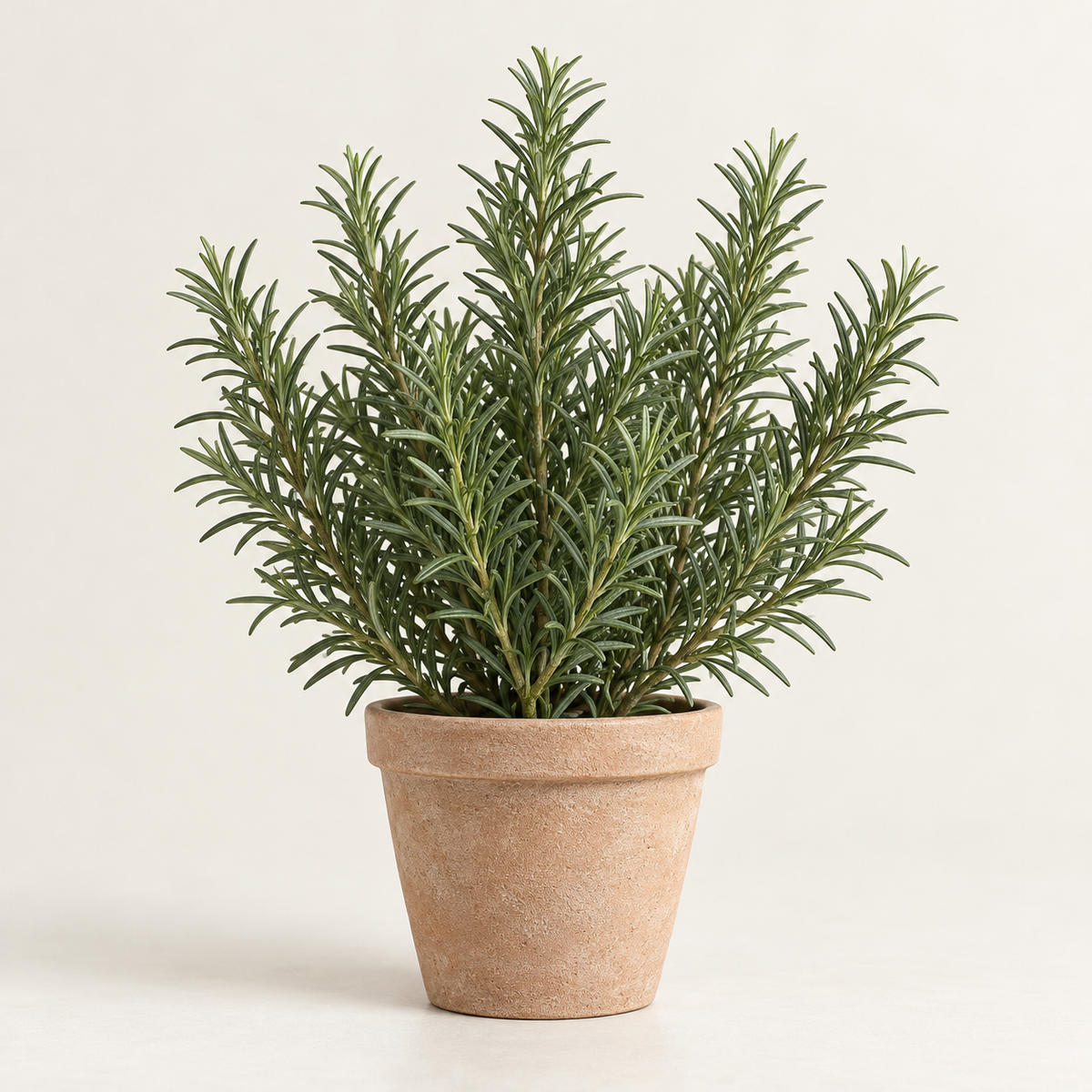 Floravyner Artificial Rosemary Arrangement in Terracotta-Coloured Pot