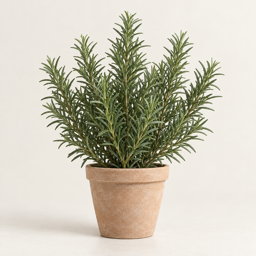 Floravyner Artificial Rosemary Arrangement in Terracotta-Coloured Pot