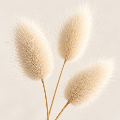 Floravyner Artificial Bunny Tail Grass Arrangement in Ivory Vase