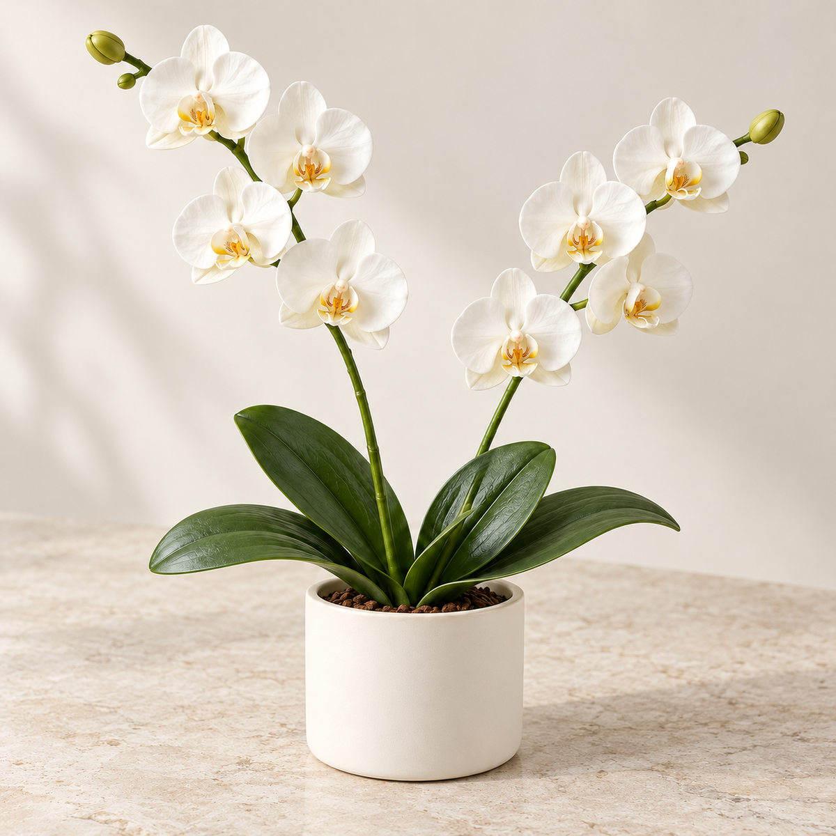 Floravyner White Artificial Orchid Arrangement in Pot